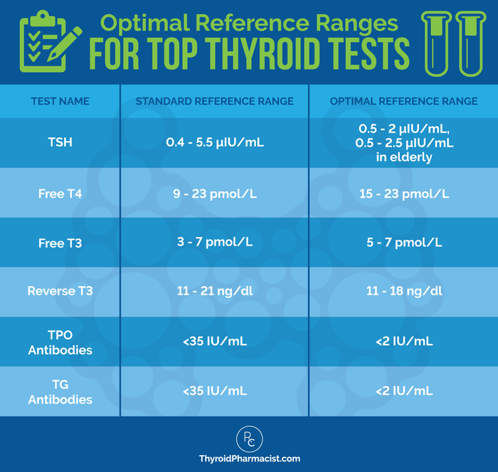 What You Need to Know About Thyroid Disease Murray